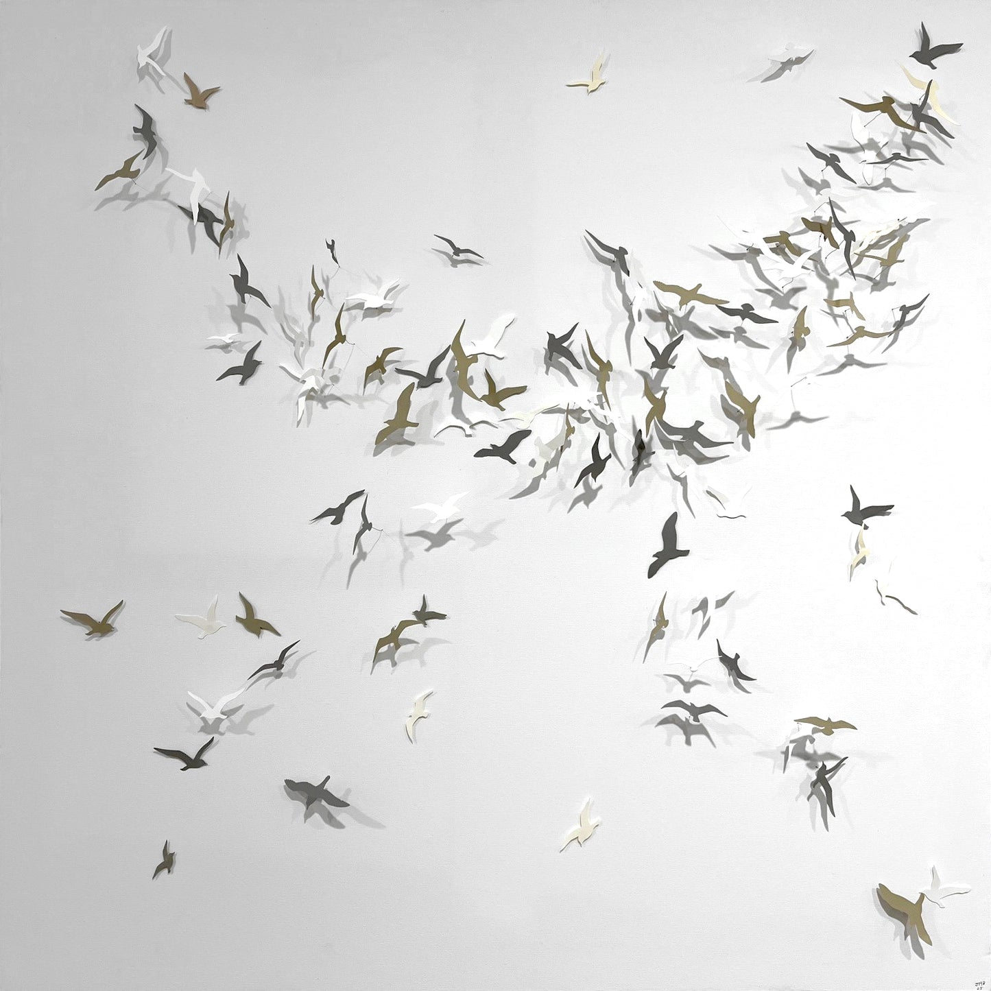Joanna McDonough | Flying Shadows