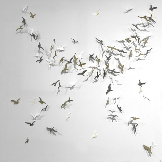 Joanna McDonough | Flying Shadows