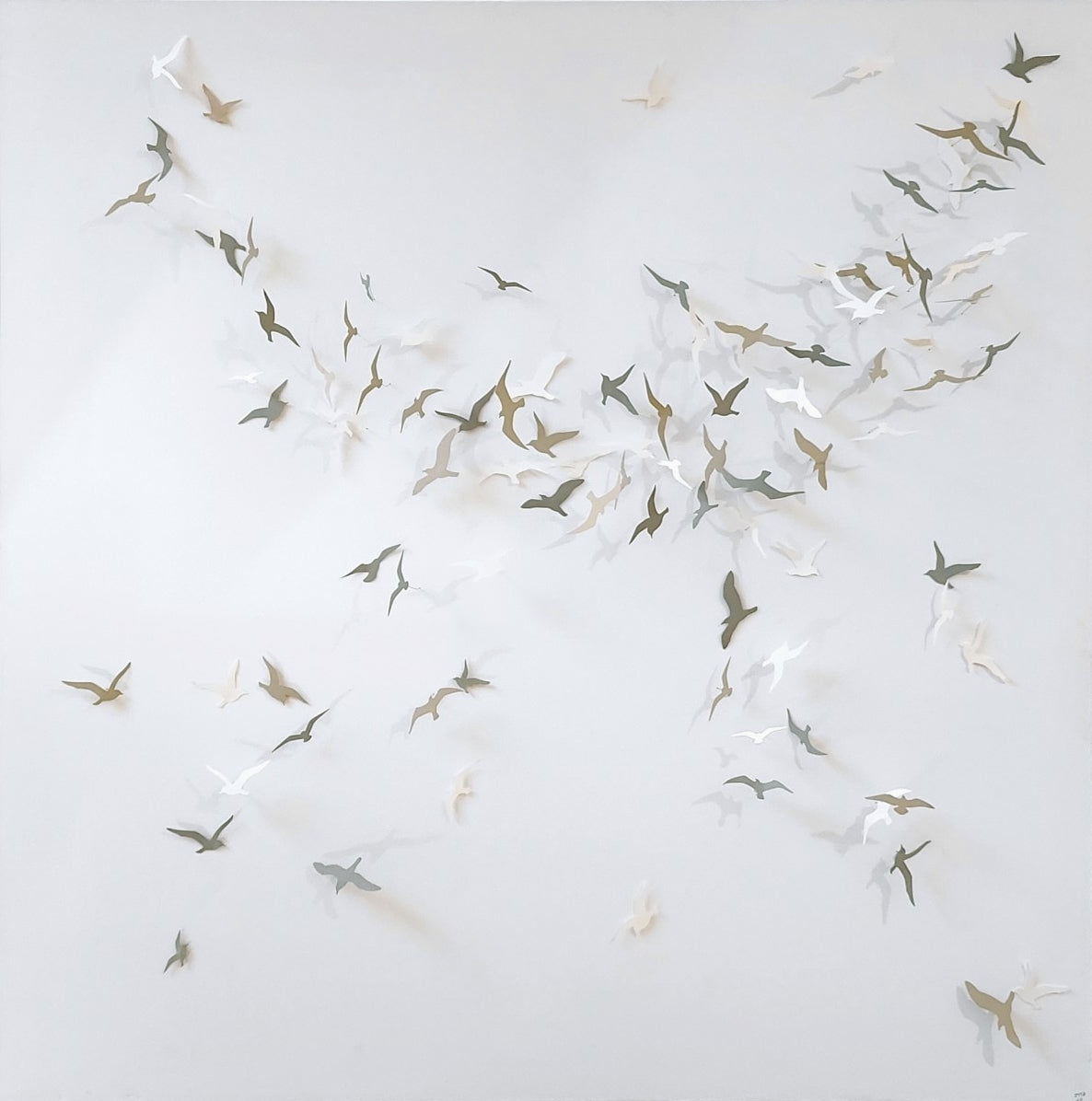 Joanna McDonough | Flying Shadows