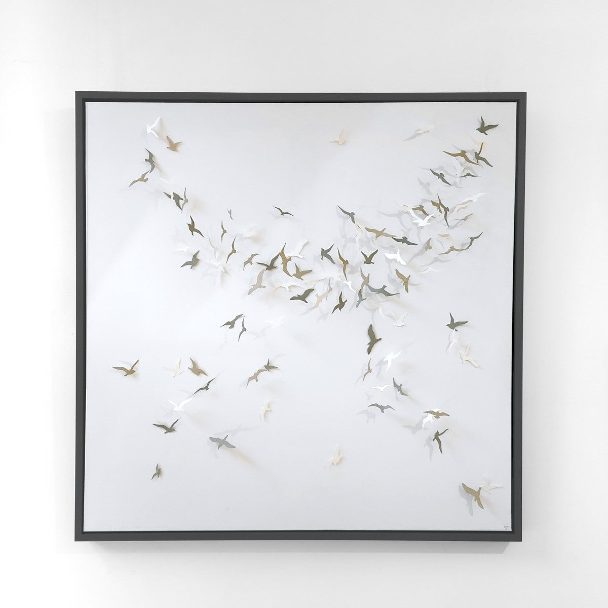 Joanna McDonough | Flying Shadows