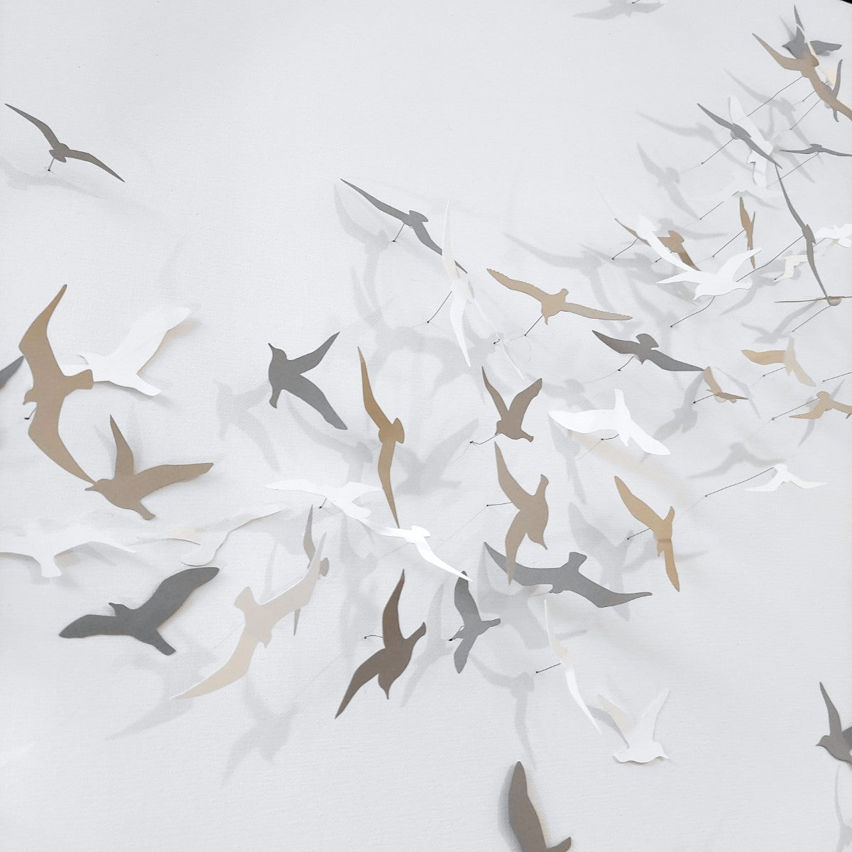 Joanna McDonough | Flying Shadows