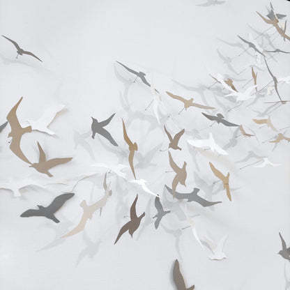 Joanna McDonough | Flying Shadows