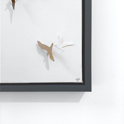 Joanna McDonough | Flying Shadows