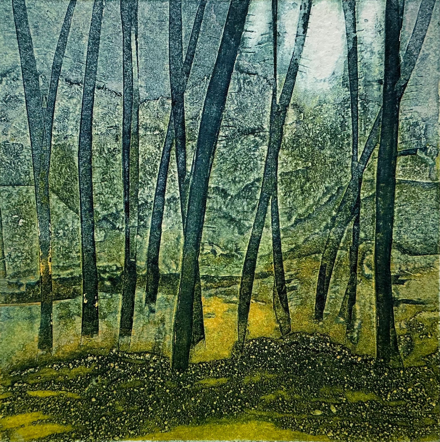 Sarah Ross-Thompson | Forest Breaks, 4/30