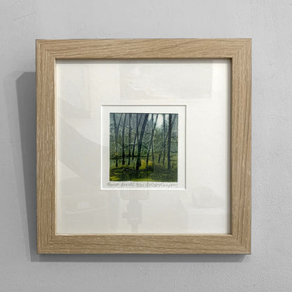 Sarah Ross-Thompson | Forest Breaks, 4/30