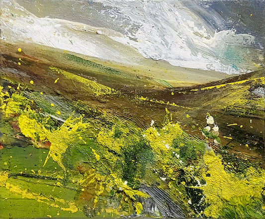 Matthew Bourne | Gorse, Open Ground