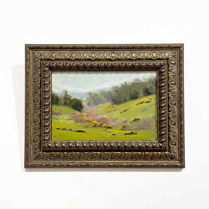 Angel Mitov | Gorse Valley