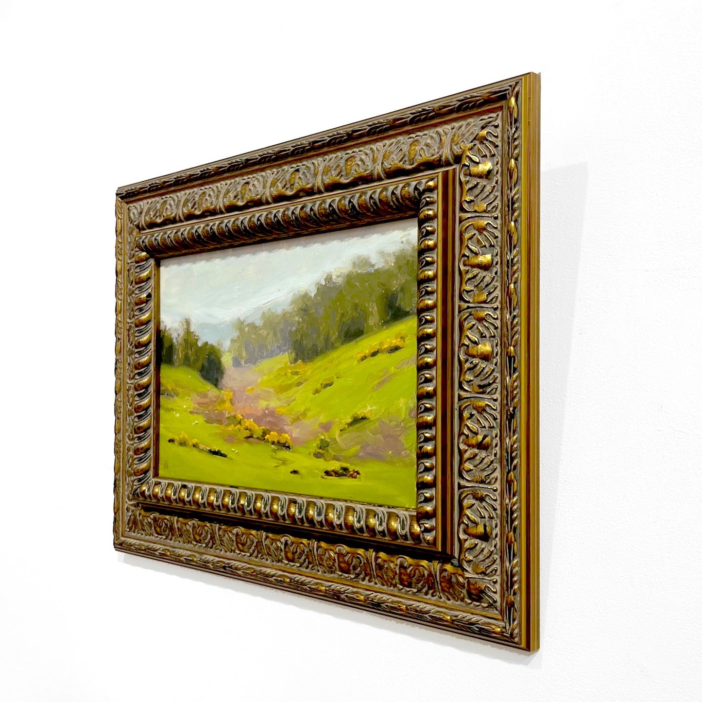 Angel Mitov | Gorse Valley