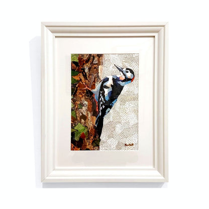 Paul Bartlett | Great Spotted Woodpecker