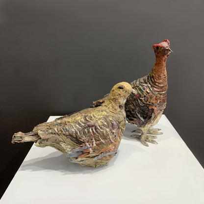 Mark Gibbs | Red Grouse Pair