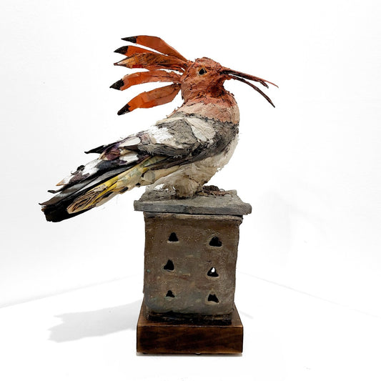 Mark Gibbs | Hoopoe, King of Birds