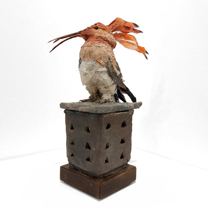 Mark Gibbs | Hoopoe, King of Birds