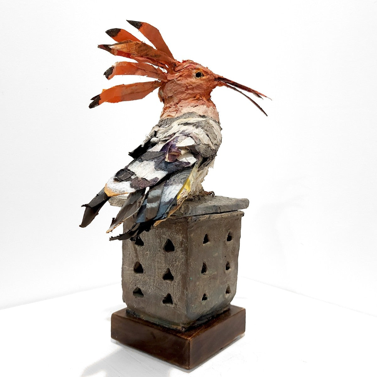 Mark Gibbs | Hoopoe, King of Birds