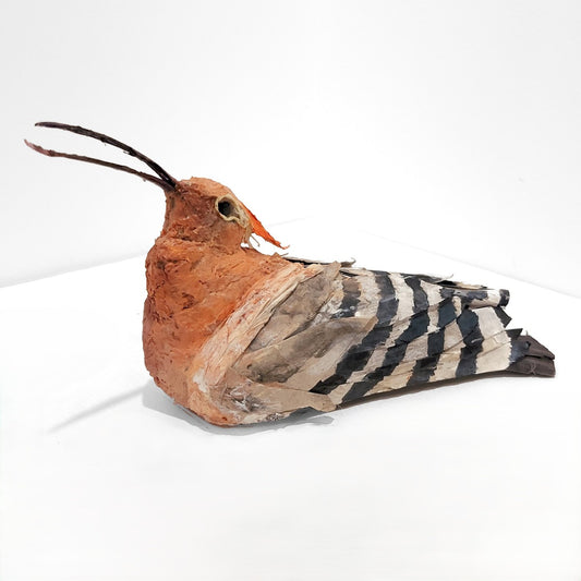 Mark Gibbs | Hoopoe, Queen of Birds