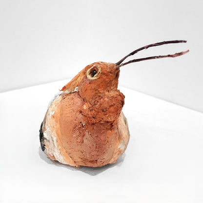 Mark Gibbs | Hoopoe, Queen of Birds