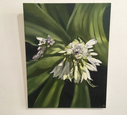 Ellisa Haldenby | Hosta III