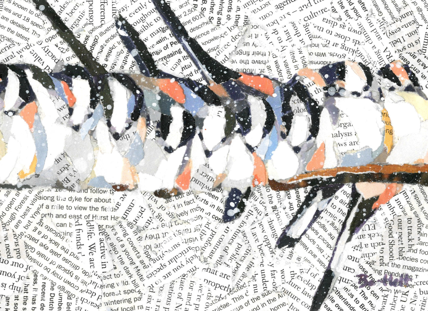 Paul Bartlett | In a Flurry (Long-Tailed Tits)