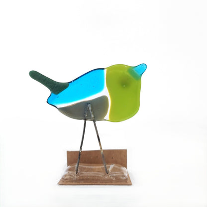 Moira Buchanan | Jamie