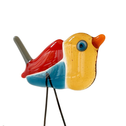 Moira Buchanan | Jean