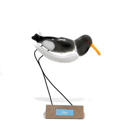 Moira Buchanan | Oystercatcher - 'Jura'