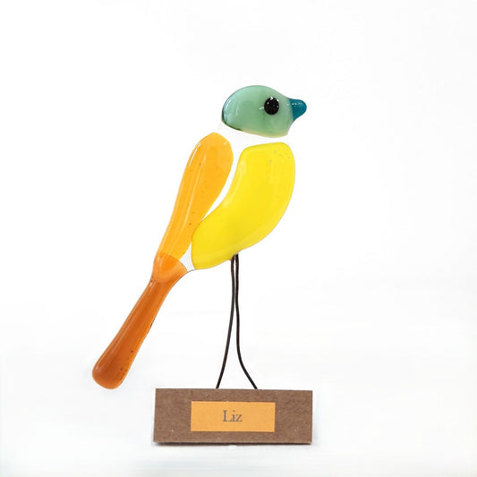 Moira Buchanan | Liz