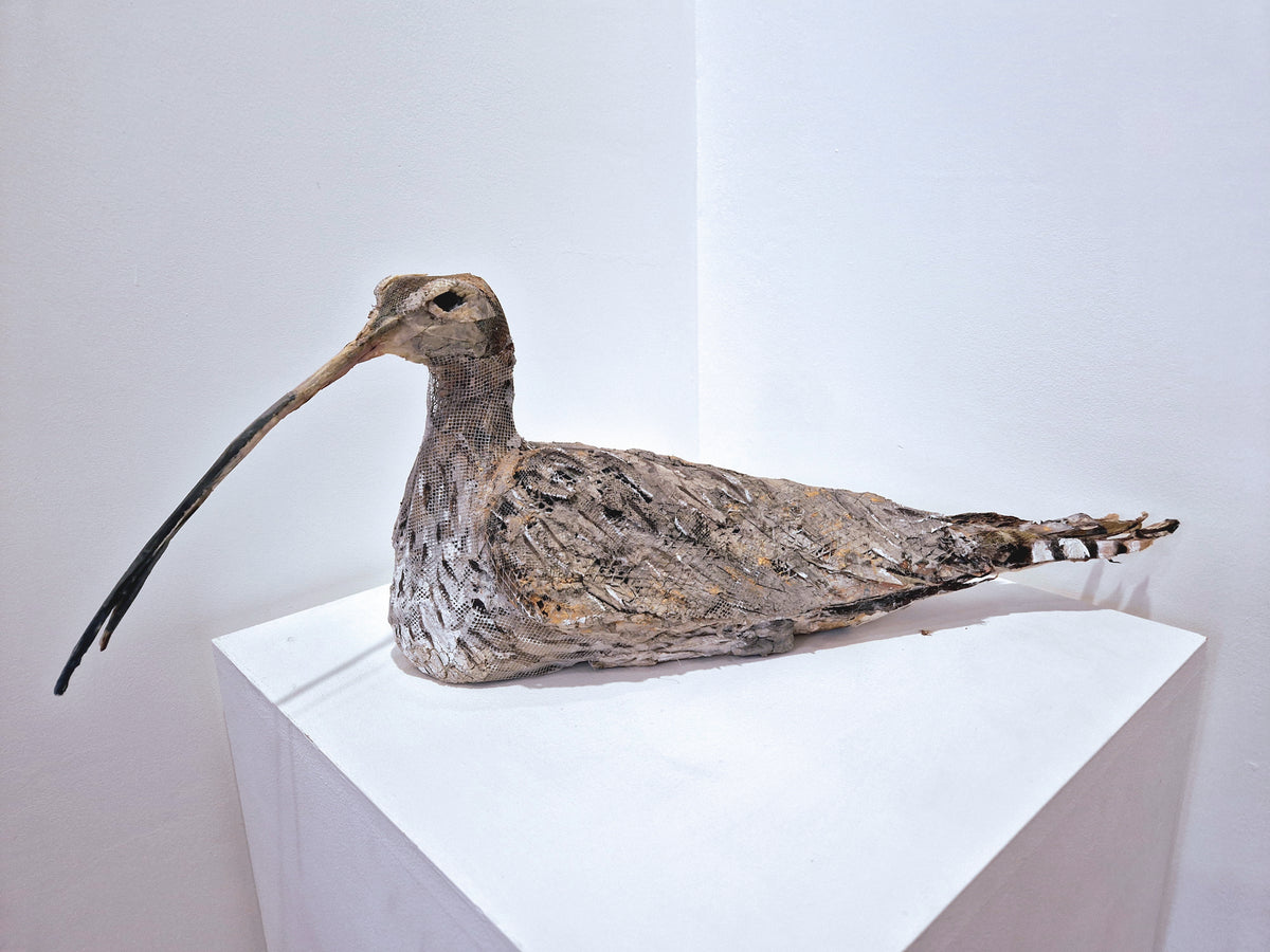 Mark Gibbs - 'Curlew'