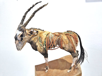 Mark Gibbs - 'Oryx Regeneration'