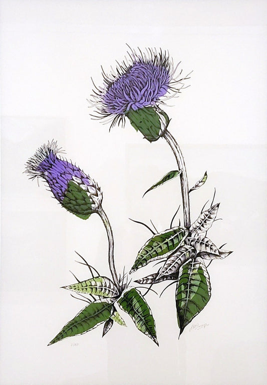 Joanna McDonough | Melancholy Thistle
