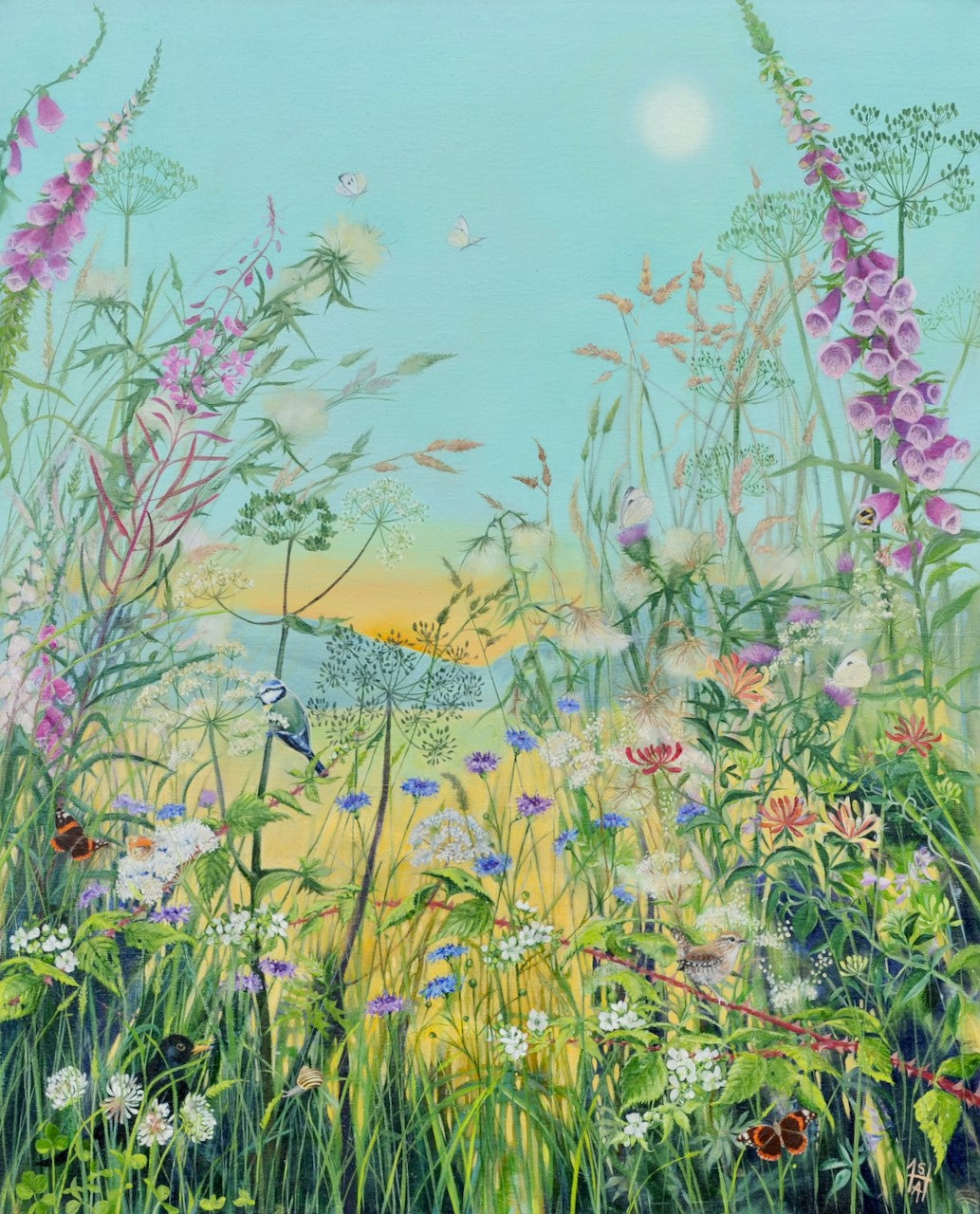 Sheila Anderson Hardy | Midsummer Morning