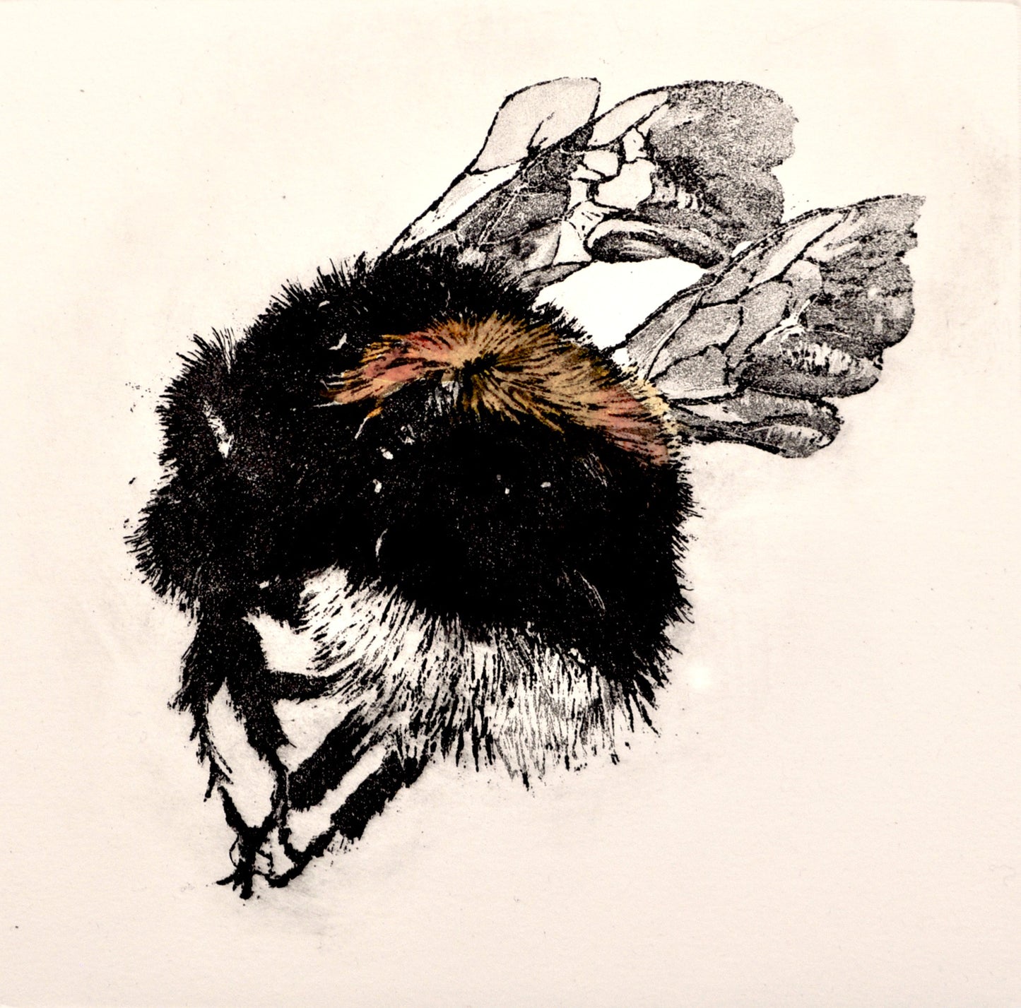Catherine King | 'Mon the Bees III, 19/25
