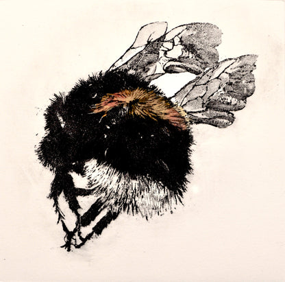 Catherine King | 'Mon the Bees III, 19/25