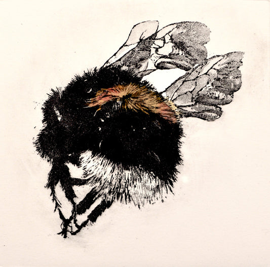 Catherine King | 'Mon the Bees III, 19/25