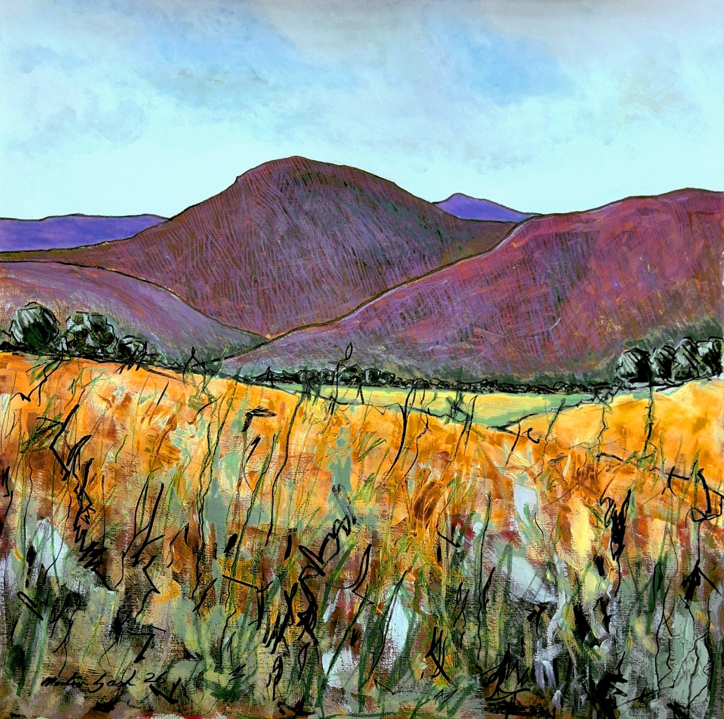 Martin Gash | Near Balquhidder