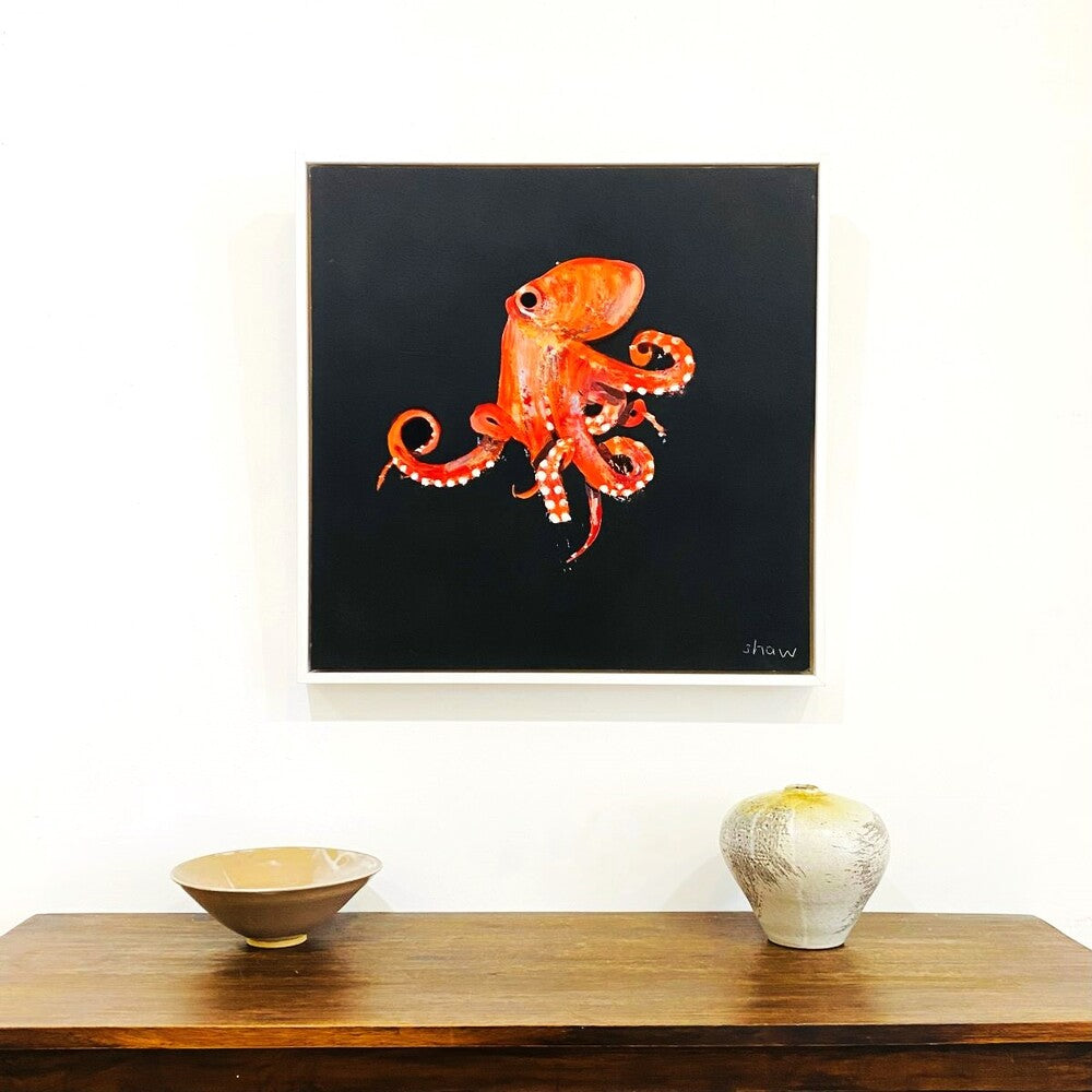 Rob Shaw | Octopus