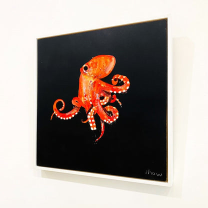 Rob Shaw | Octopus