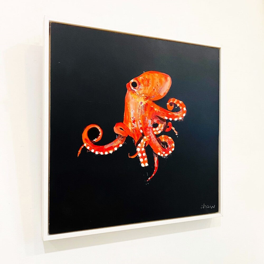 Rob Shaw | Octopus