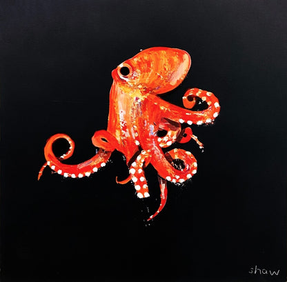 Rob Shaw | Octopus