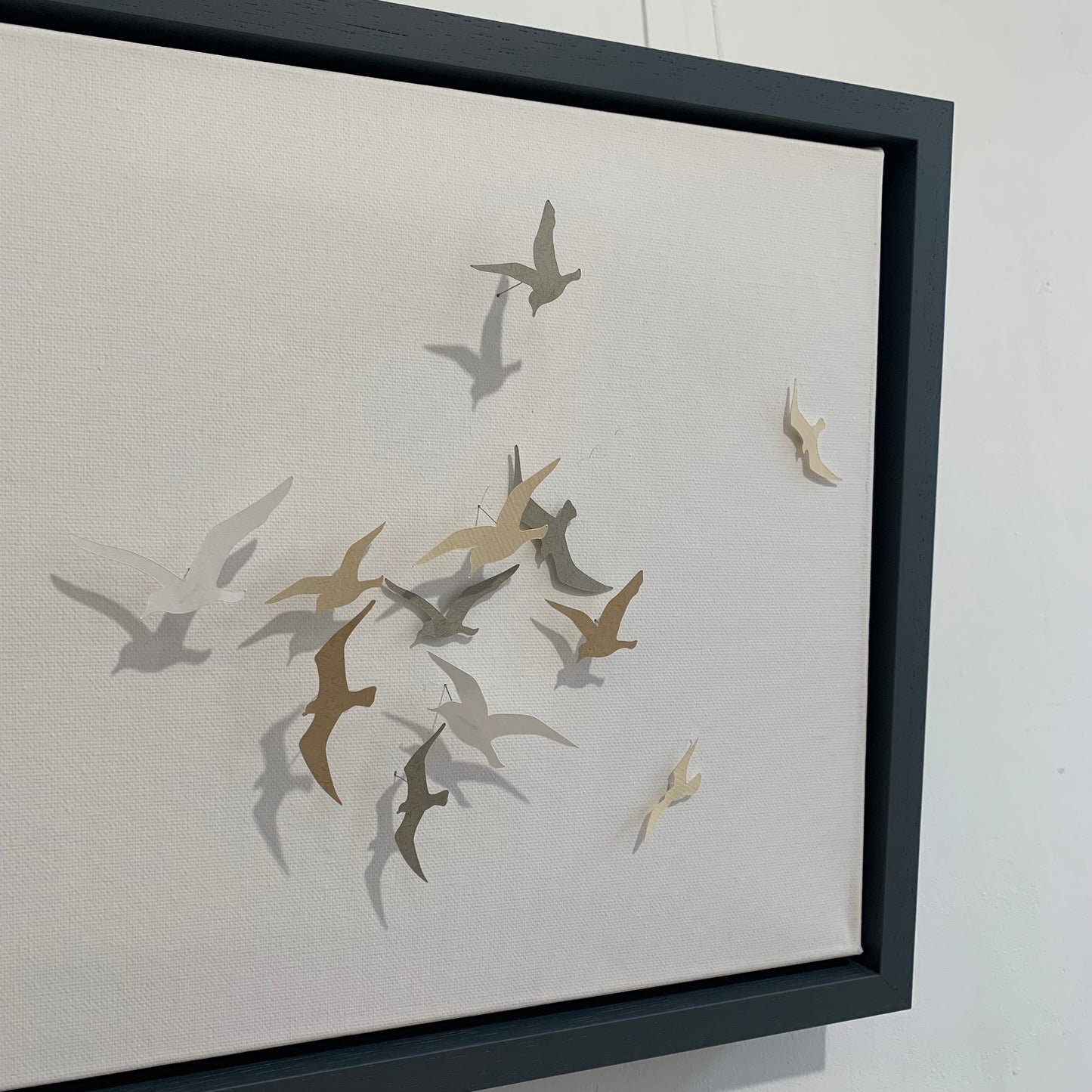 Joanna McDonough | Shadow Dancer