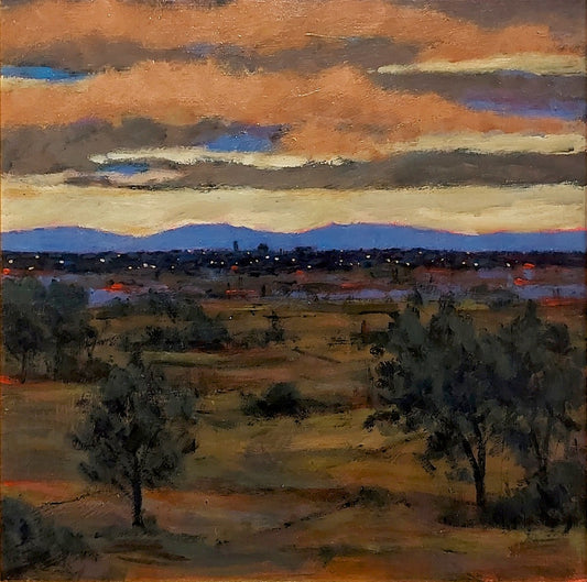 Emilio Fazzi | Pisa d'Inverno