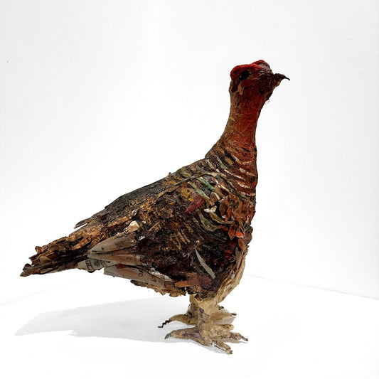 Mark Gibbs | Red Grouse I