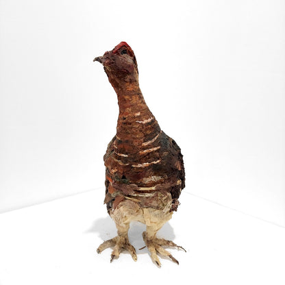 Mark Gibbs | Red Grouse I