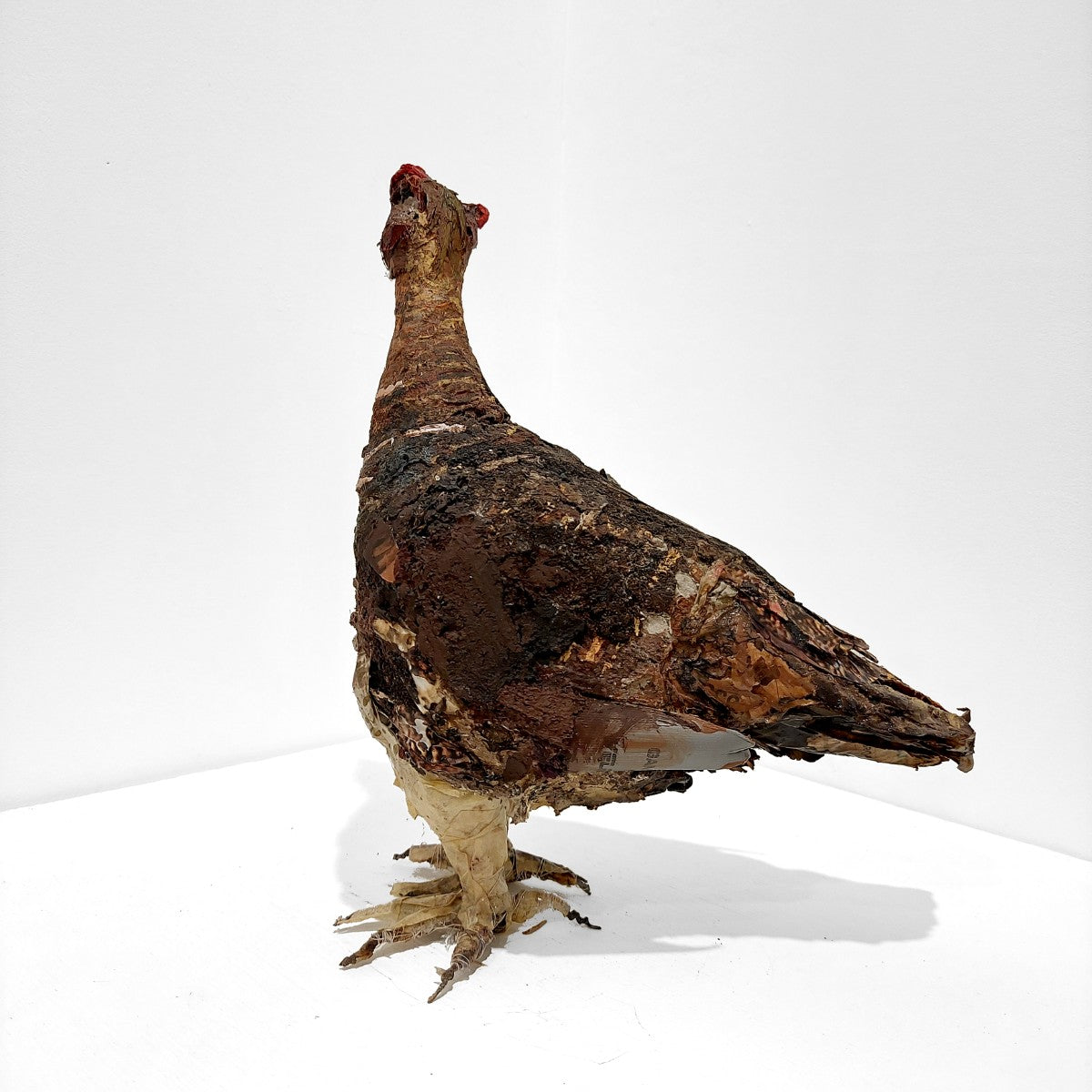 Mark Gibbs | Red Grouse I