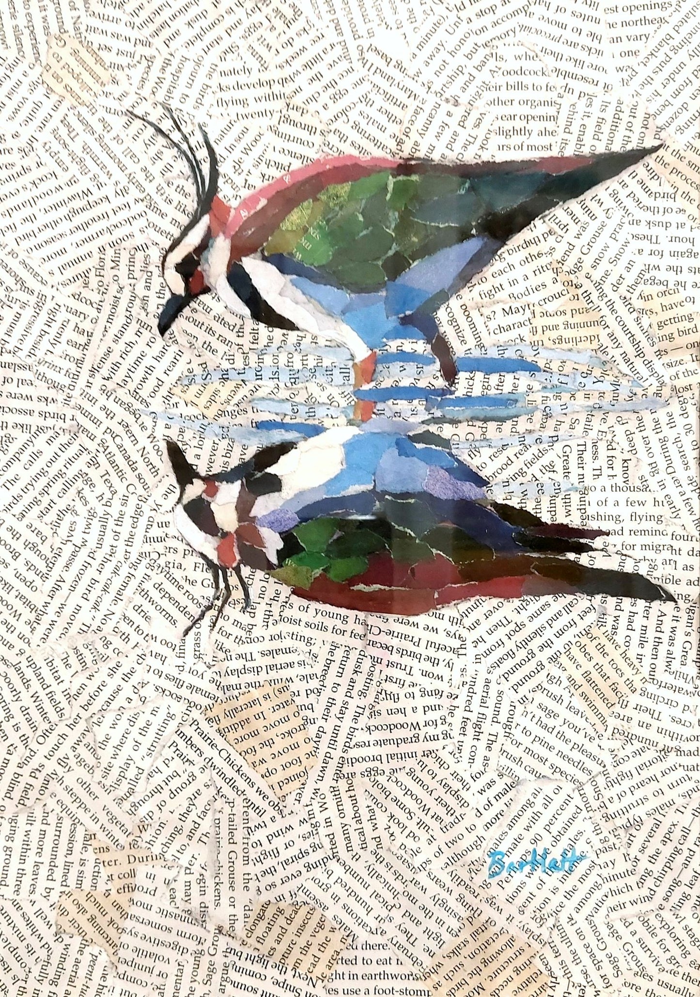 Paul Bartlett | Reflected Lapwing