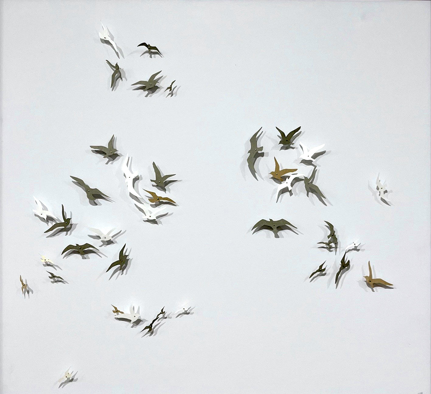 Joanna McDonough | Shadows in Flight