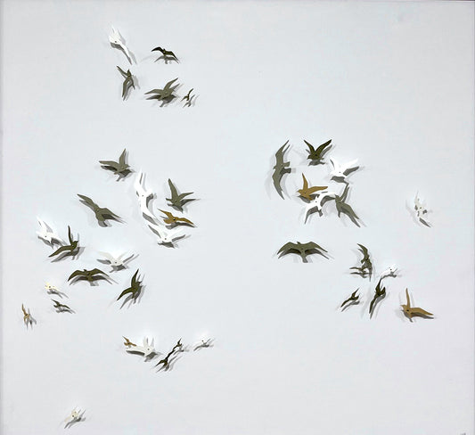 Joanna McDonough | Shadows in Flight