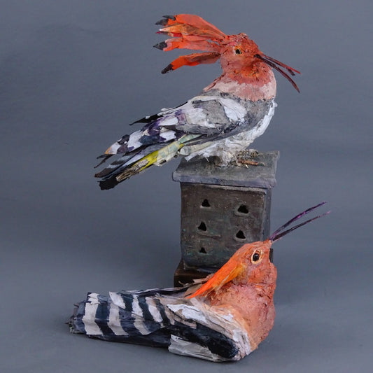 Mark Gibbs | Hoopoes, King and Queen of Birds