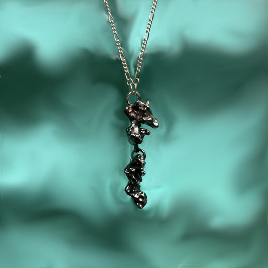 Pia Amlott | Silver Salt III