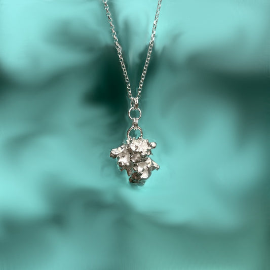 Pia Amlott | Silver Salt II