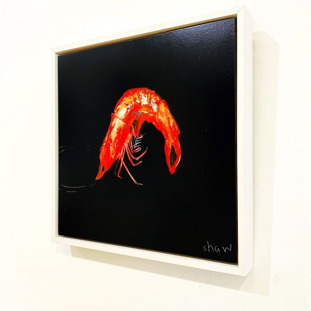 Rob Shaw | Prawn