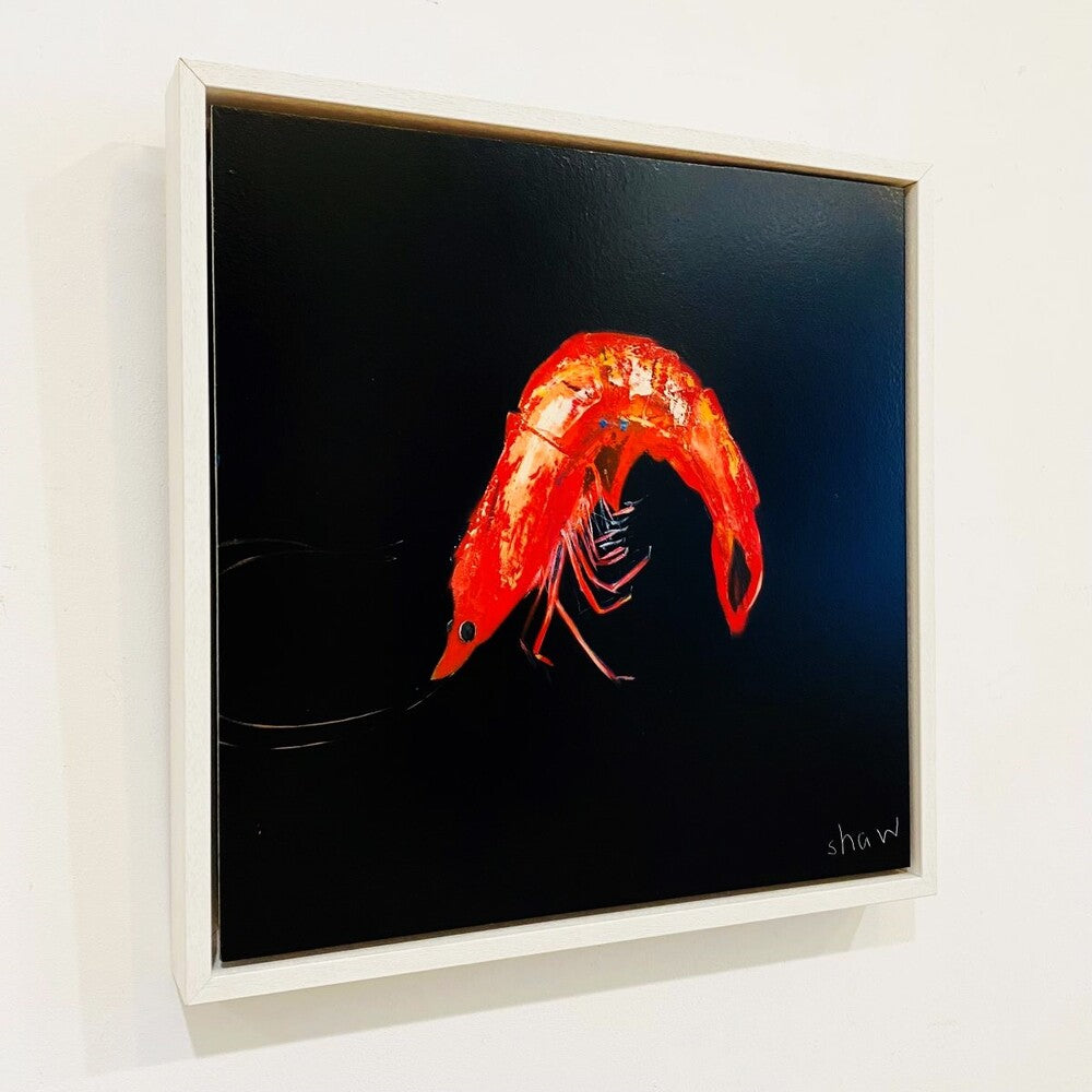 Rob Shaw | Prawn